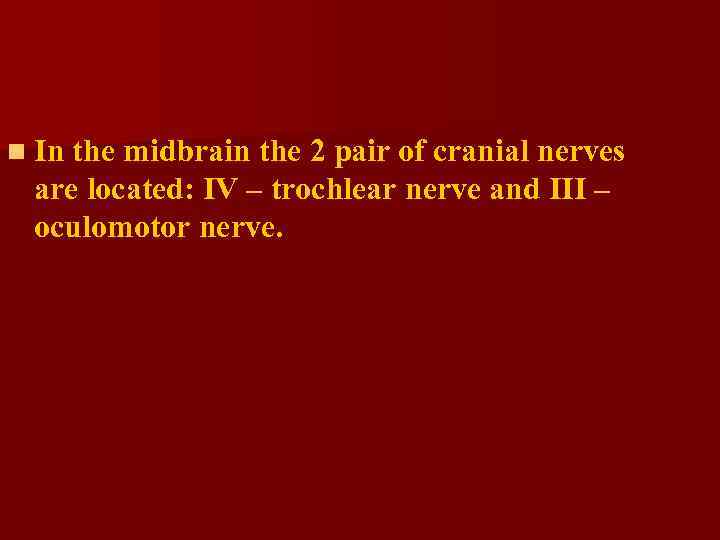 n In the midbrain the 2 pair of cranial nerves are located: IV –