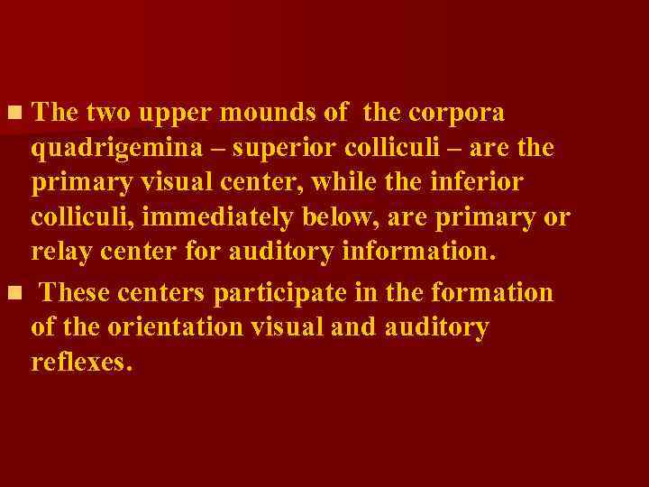 n The two upper mounds of the corpora quadrigemina – superior colliculi – are