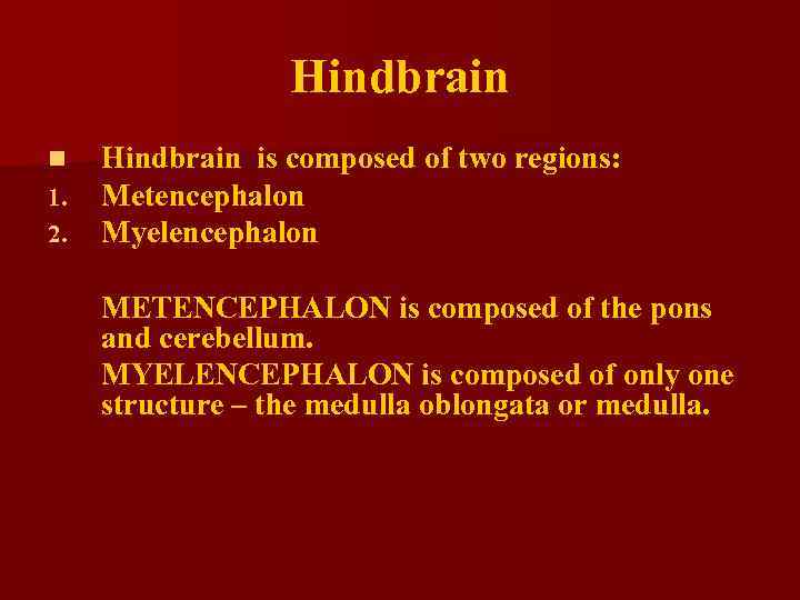 Hindbrain n 1. 2. Hindbrain is composed of two regions: Metencephalon Myelencephalon METENCEPHALON is