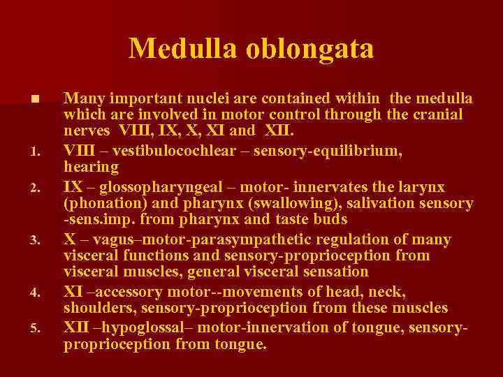 Medulla oblongata n 1. 2. 3. 4. 5. Many important nuclei are contained within