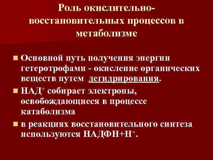 Роль окислительновосстановительных процессов в метаболизме n Основной путь получения энергии гетеротрофами - окисление органических