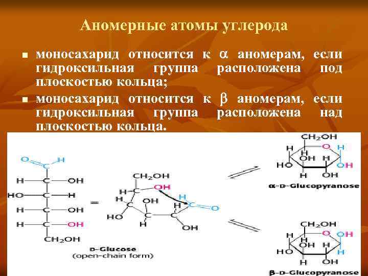 Аномерные атомы углерода n n моносахарид относится к гидроксильная группа плоскостью кольца; моносахарид относится