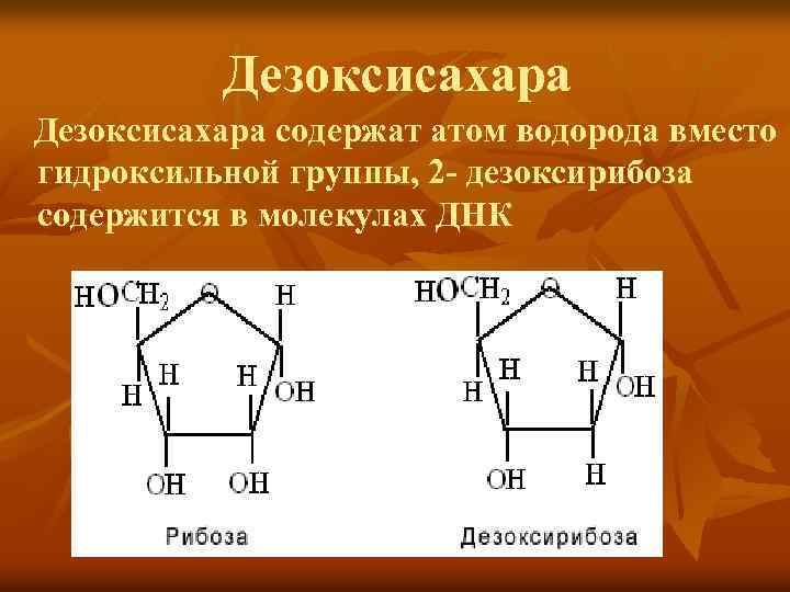 Дезоксирибоза входит в состав