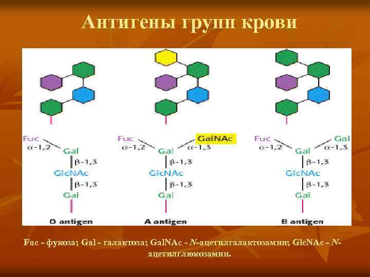 Антигены групп крови Fuc - фукоза; Gal - галактоза; Gal. NAc - N-ацетилгалактозамин; Glc.