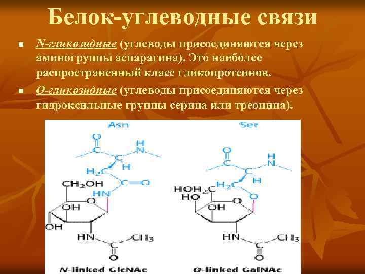 Белок-углеводные связи n n N-гликозидные (углеводы присоединяются через аминогруппы аспарагина). Это наиболее распространенный класс