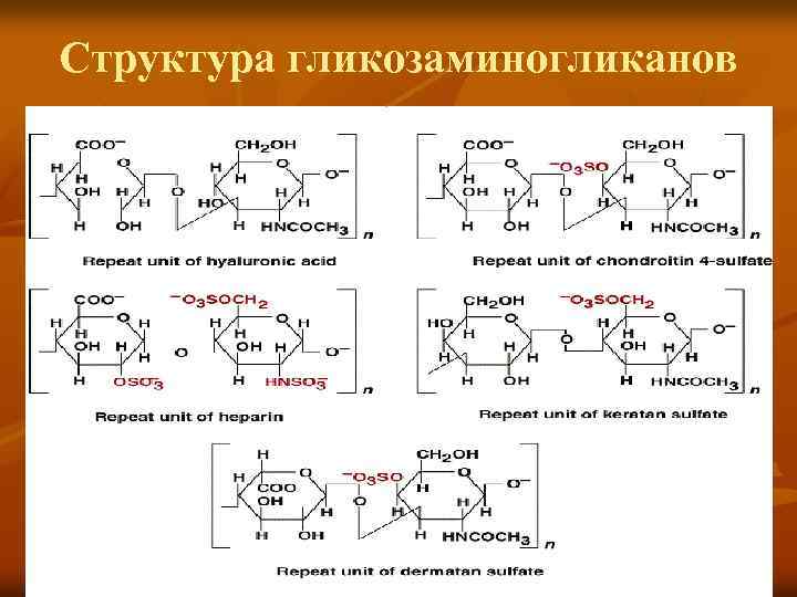 Структура гликозаминогликанов 