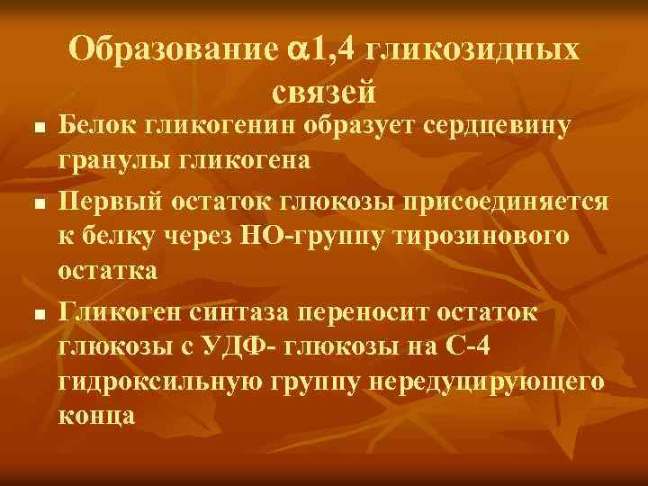 Образование 1, 4 гликозидных связей n n n Белок гликогенин образует сердцевину гранулы гликогена