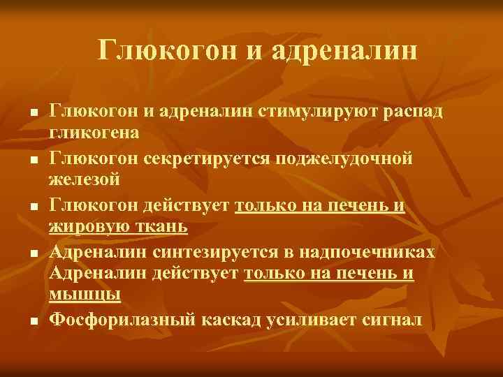 Глюкогон и адреналин n n n Глюкогон и адреналин стимулируют распад гликогена Глюкогон секретируется