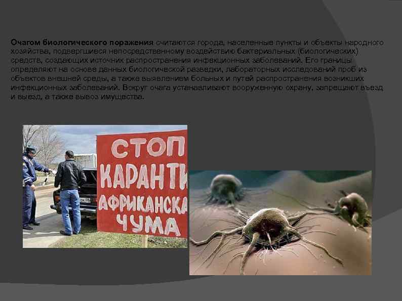 Очагом биологического поражения считаются города, населенные пункты и объекты народного хозяйства, подвергшиеся непосредственному воздействию