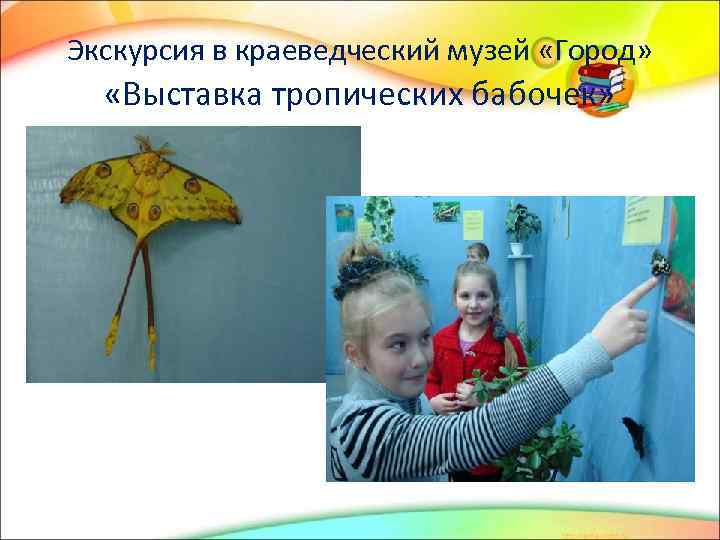 Экскурсия в краеведческий музей «Город» «Выставка тропических бабочек» 