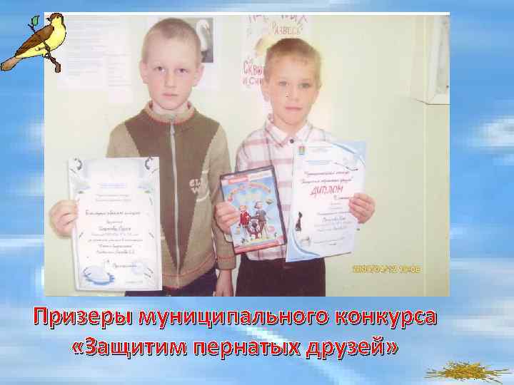 Призеры муниципального конкурса «Защитим пернатых друзей» 