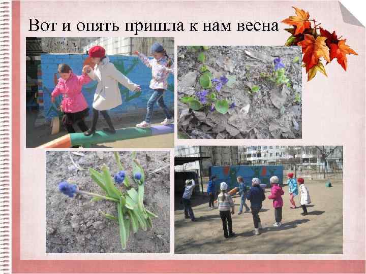 Вот и опять пришла к нам весна 
