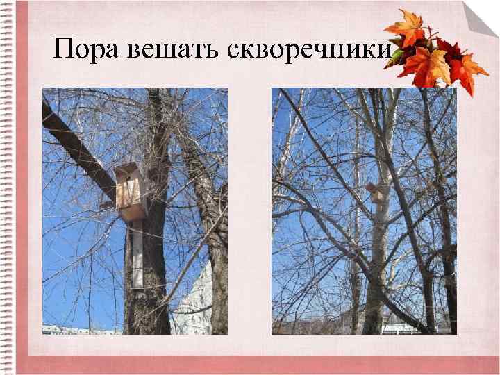 Пора вешать скворечники 