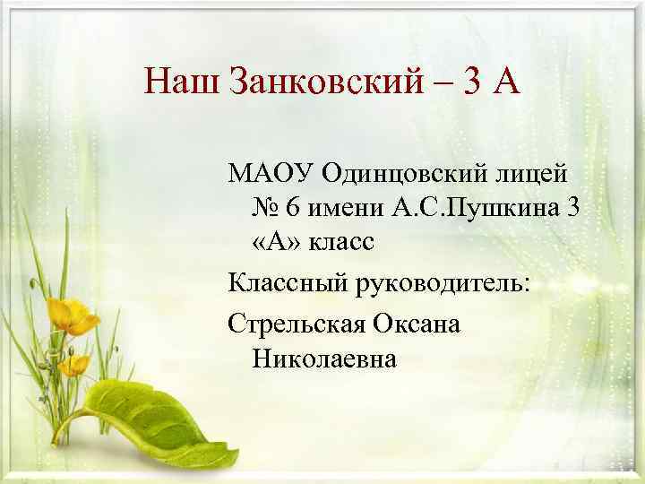 Наш Занковский – 3 А МАОУ Одинцовский лицей № 6 имени А. С. Пушкина