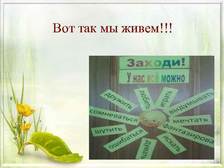 Вот так мы живем!!! 