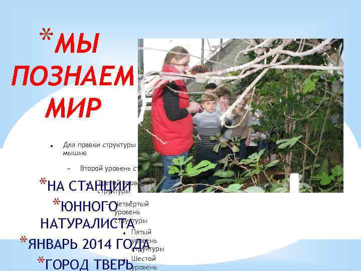 *МЫ ПОЗНАЕМ МИР Для правки структуры щелкните мышью Второй уровень структуры *НА СТАНЦИИ *ЮННОГО