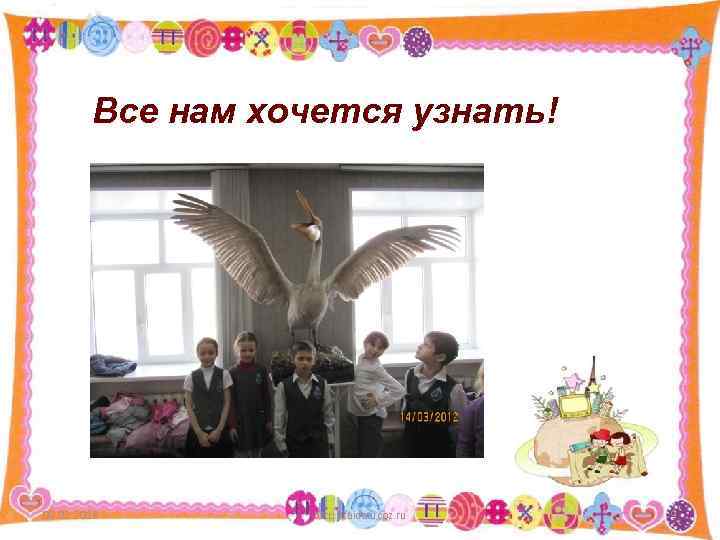 Все нам хочется узнать! 09. 02. 2018 http: //aida. ucoz. ru 9 