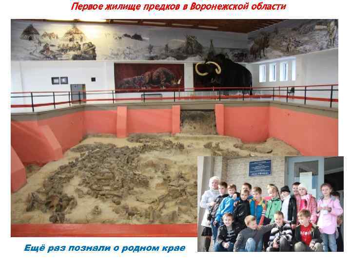 Первое жилище предков в Воронежской области Ещё раз познали о родном крае 