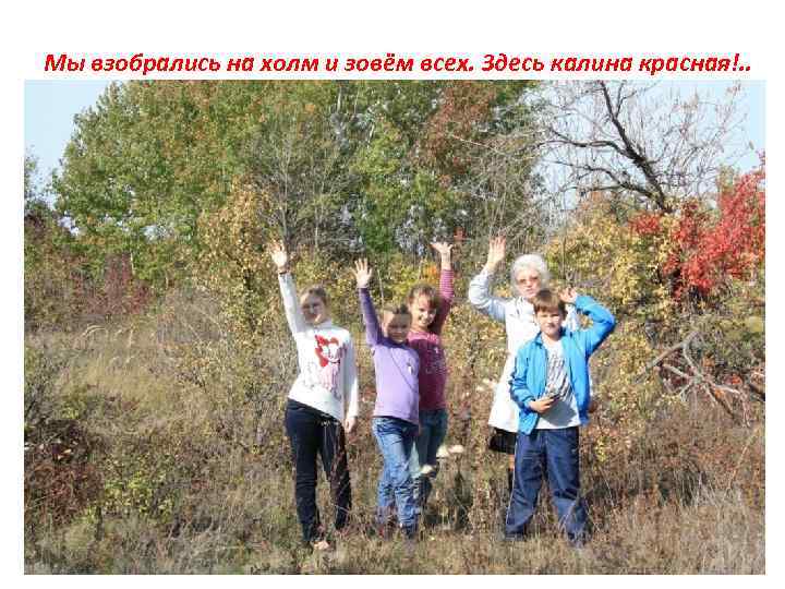 Мы взобрались на холм и зовём всех. Здесь калина красная!. . 