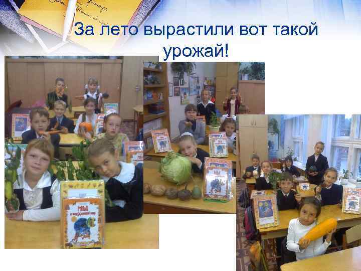 За лето вырастили вот такой урожай! 