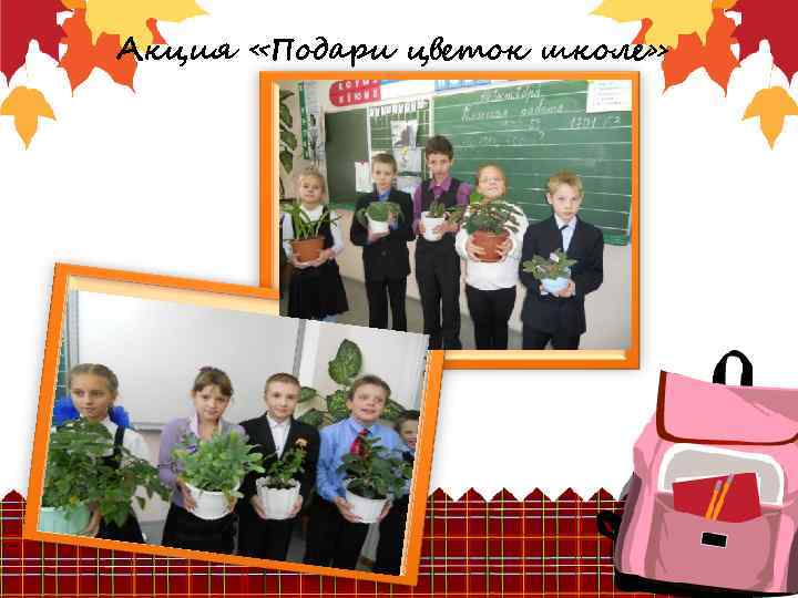 Акция «Подари цветок школе» 