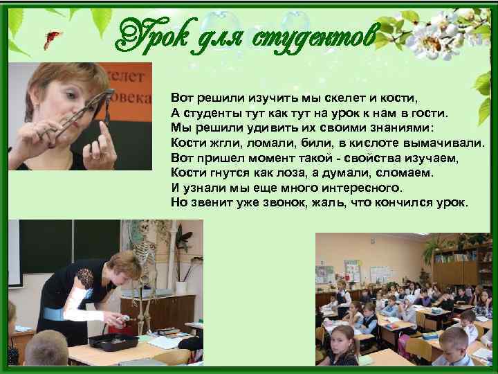 Урок для студентов Вот решили изучить мы скелет и кости, А студенты тут как