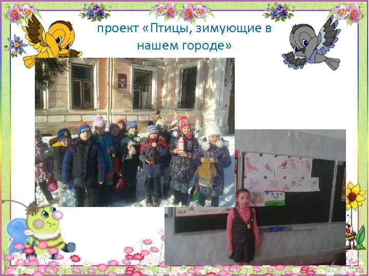 проект «Птицы, зимующие в нашем городе» 