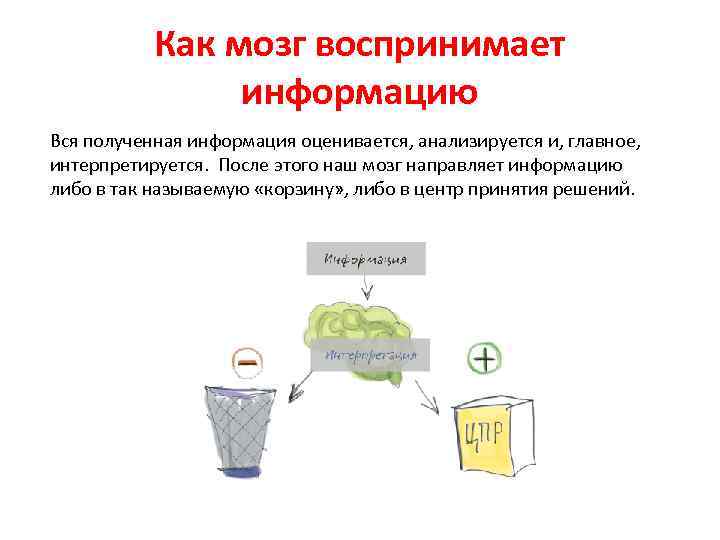 Как мозг воспринимает информацию Вся полученная информация оценивается, анализируется и, главное, интерпретируется. После этого