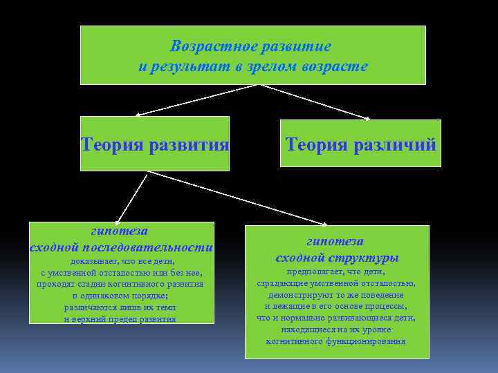 Возрастное развитие и результат в зрелом возрасте Теория развития гипотеза сходной последовательности доказывает, что