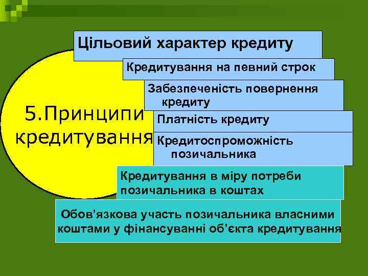 Цільовий характер кредиту Кредитування на певний строк Забезпеченість повернення кредиту 5. Принципи Платність кредитування