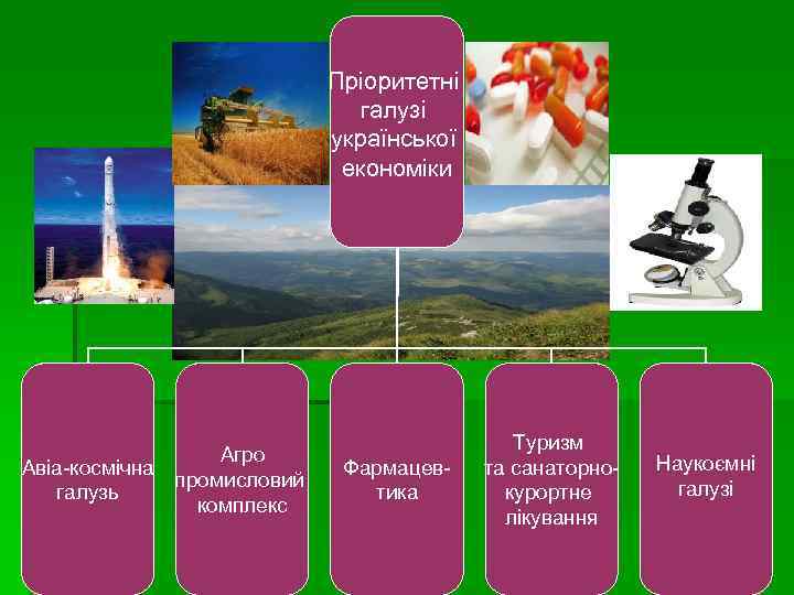 Пріоритетні галузі української економіки Агро Авіа-космічна промисловий галузь комплекс Фармацевтика Туризм та санаторнокурортне лікування