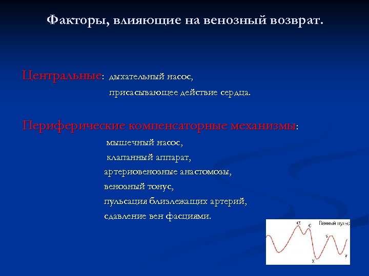 Факторы, влияющие на венозный возврат. Центральные: дыхательный насос, присасывающее действие сердца. Периферические компенсаторные механизмы: