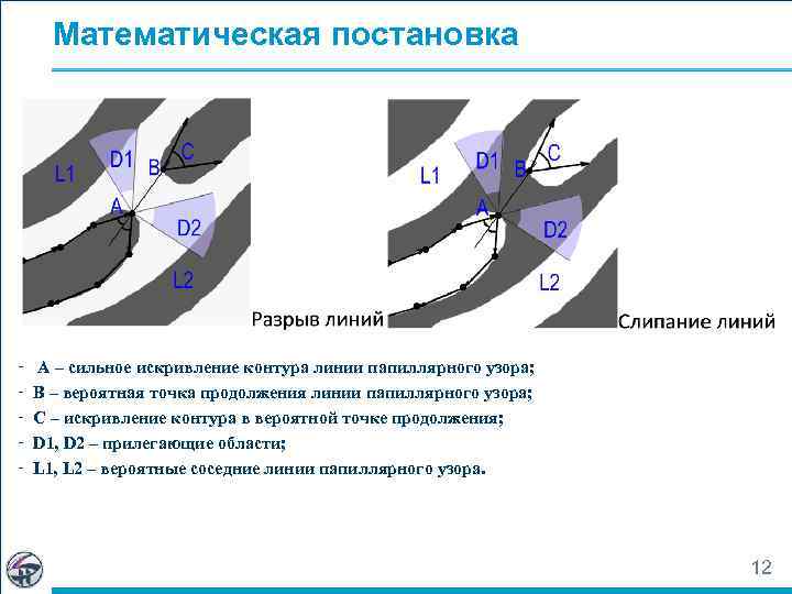 Математическая постановка - A – сильное искривление контура линии папиллярного узора; B – вероятная