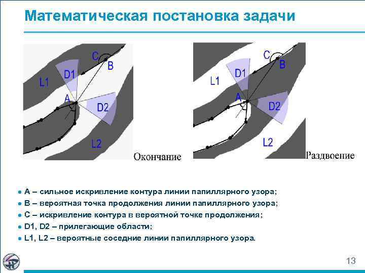 Математическая постановка задачи ● A – сильное искривление контура линии папиллярного узора; ● B