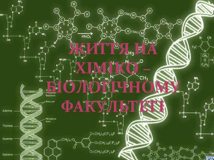 ЖИТТЯ НА ХІМІКО – БІОЛОГІЧНОМУ ФАКУЛЬТЕТІ 