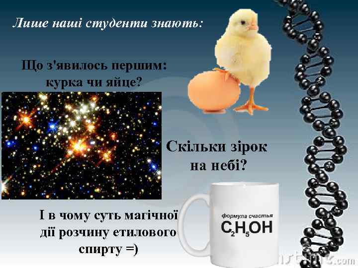 Лише наші студенти знають: Що з'явилось першим: курка чи яйце? Скільки зірок на небі?
