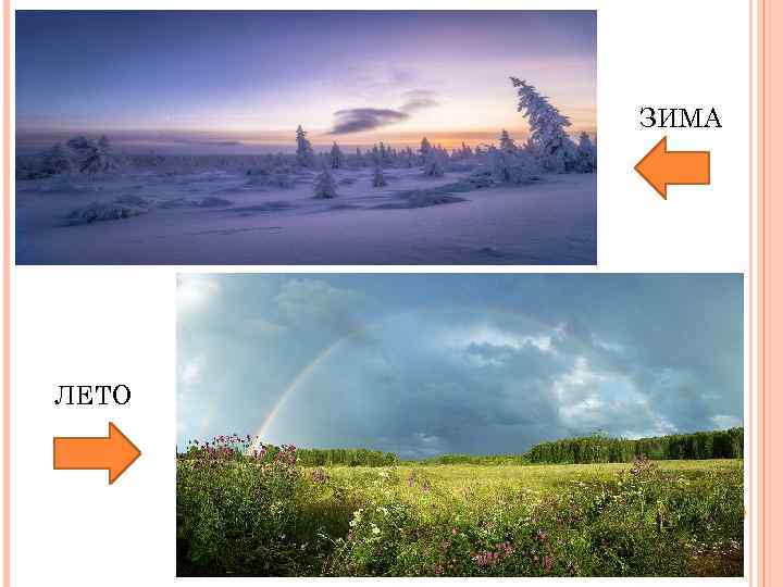 ЗИМА ЛЕТО 