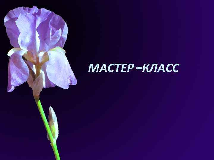 МАСТЕР-КЛАСС 