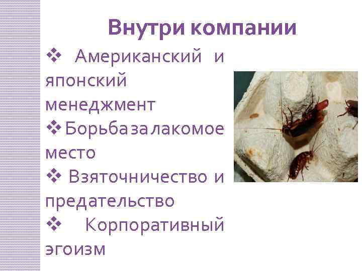 Внутри компании v Американский и японский менеджмент v Борьба за лакомое место v Взяточничество