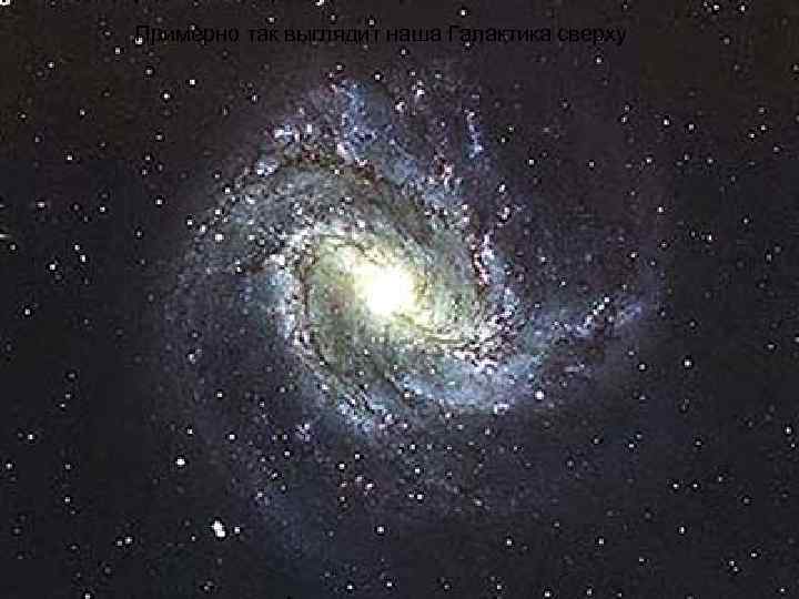 Примерно так выглядит наша Галактика сверху 