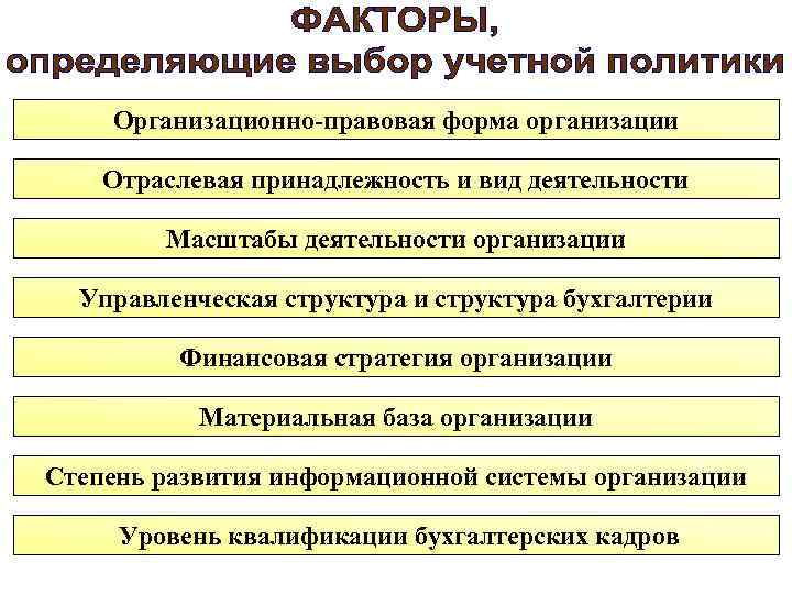 Организационно-правовая форма организации Отраслевая принадлежность и вид деятельности Масштабы деятельности организации Управленческая структура и