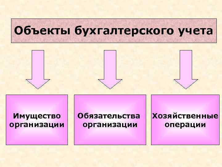 Объекты бухгалтерского учета Имущество организации Обязательства организации Хозяйственные операции 