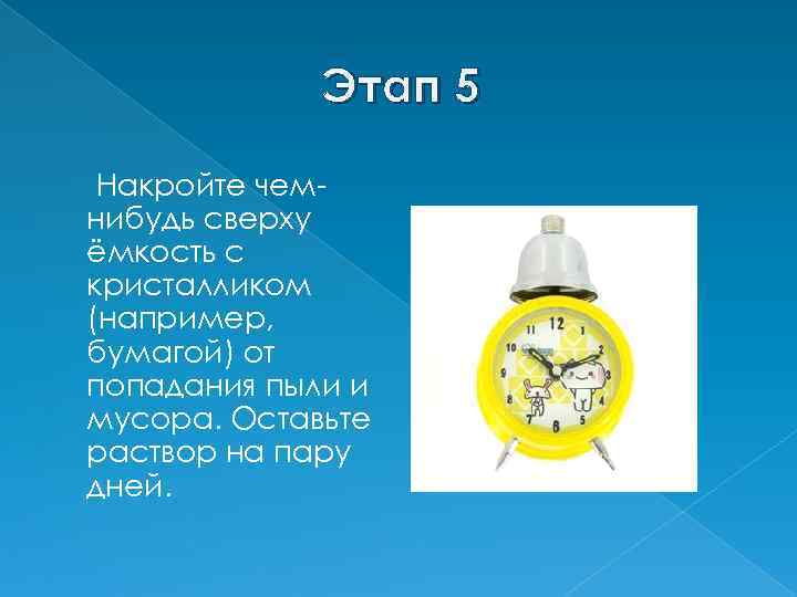 Этап 5 Накройте чемнибудь сверху ёмкость с кристалликом (например, бумагой) от попадания пыли и