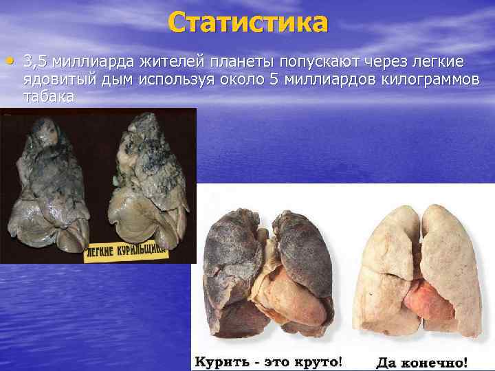 Статистика • 3, 5 миллиарда жителей планеты попускают через легкие ядовитый дым используя около