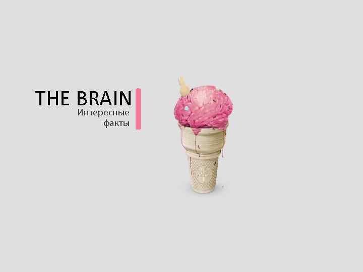 l THE BRAIN Интересные факты 