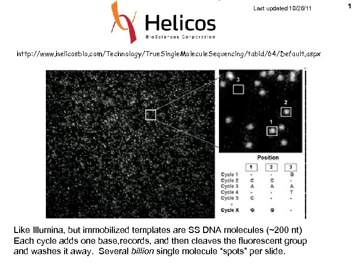 Last updated 10/26/11 http: //www. helicosbio. com/Technology/True. Single. Molecule. Sequencing/tabid/64/Default. aspx Like Illumina, but