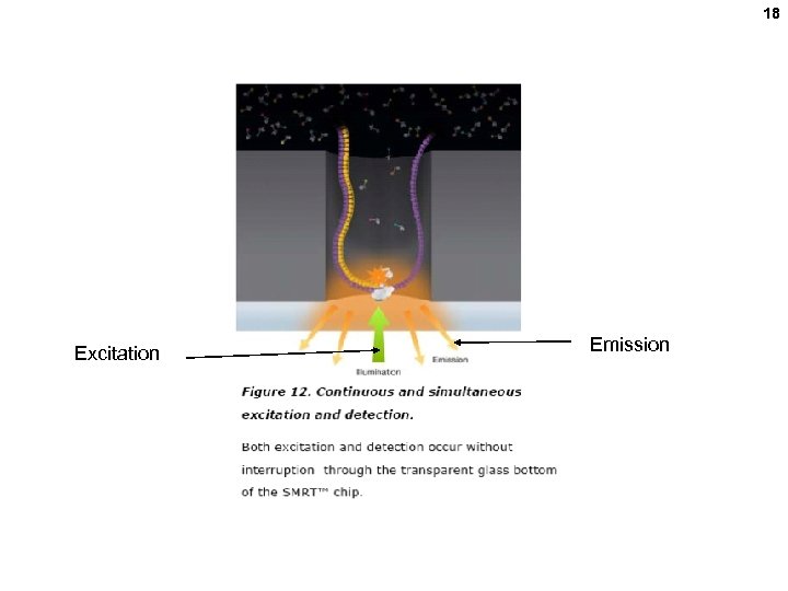 18 Excitation Emission 