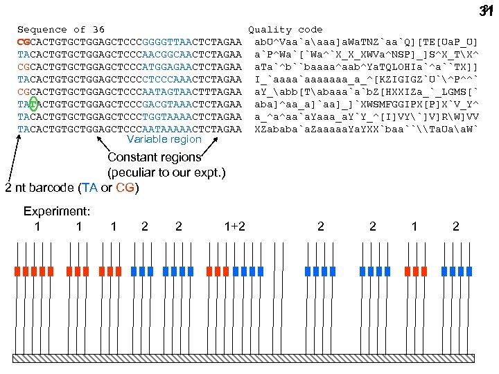 31 31 Sequence of 36 Quality code CGCACTGTGCTGGAGCTCCCGGGGTTAACTCTAGAA ab. U^Vaa`aaaa]a. Wa. TNZ`aa`Q][TE[Ua. P_U] TACACTGTGCTGGAGCTCCCAACGGCAACTCTAGAA