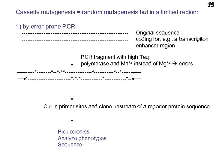 35 35 Cassette mutagenesis = random mutagenesis but in a limited region: 1) by