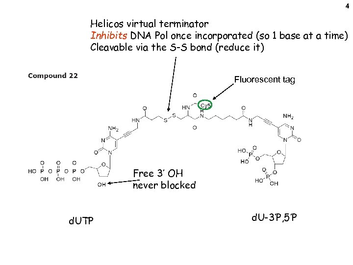 4 Helicos virtual terminator Inhibits DNA Pol once incorporated (so 1 base at a